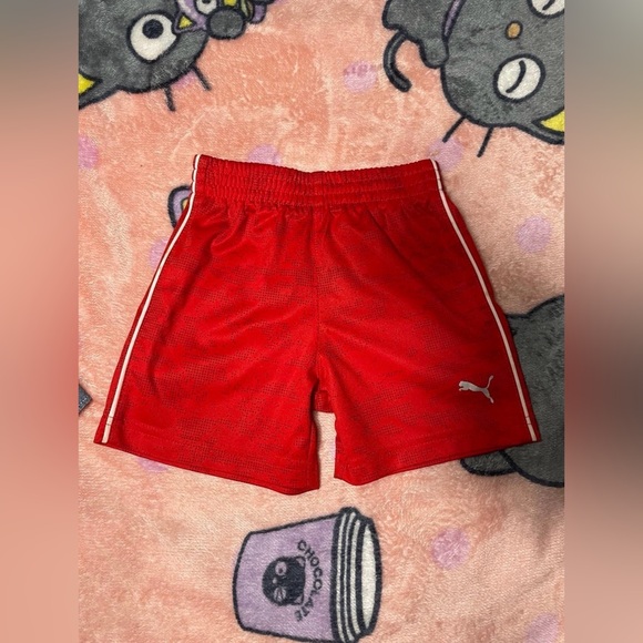 12m baby puma - Picture 5 of 7